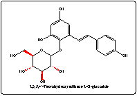 二苯乙烯苷